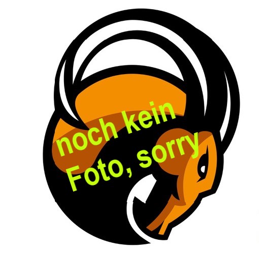 Logo Kopf Foto