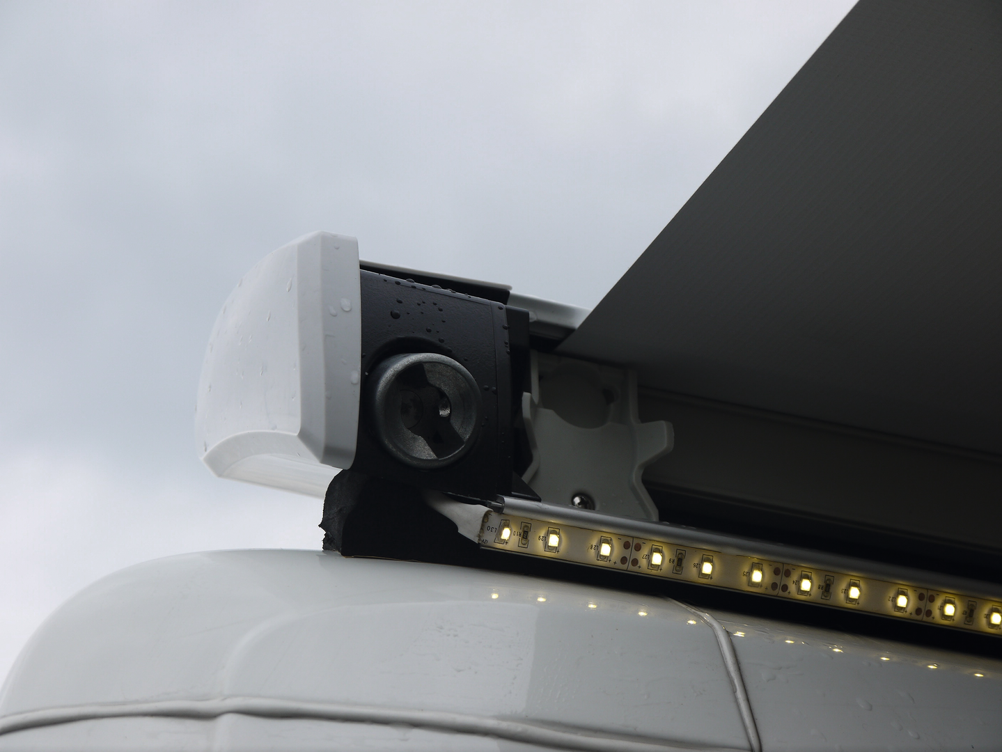 17241 1.2195b28c.png