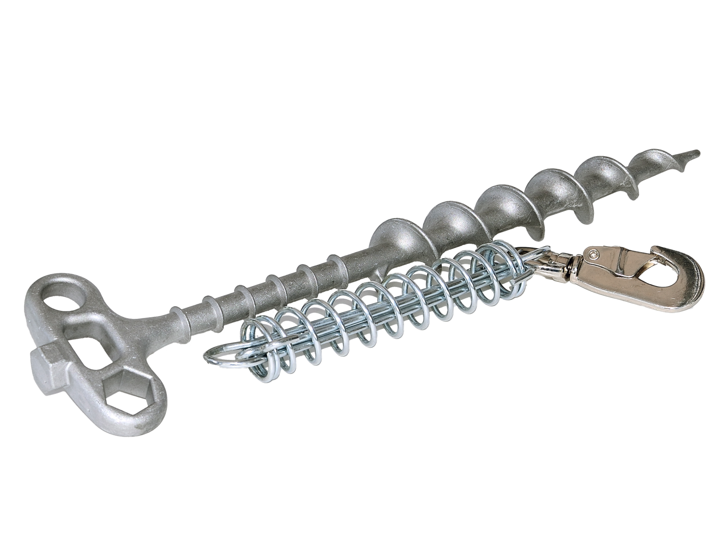 19981 1.cd057c4c.png