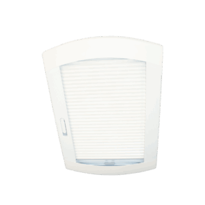 90390 1.d66fbff2.png