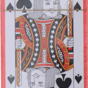 32137 1.d445b4fd.png