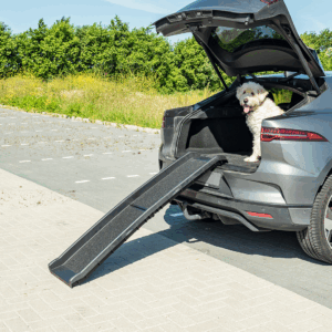 49206 6.ddb9c6e1.png