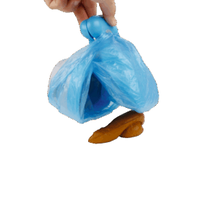 49499 2.d16937fd.png