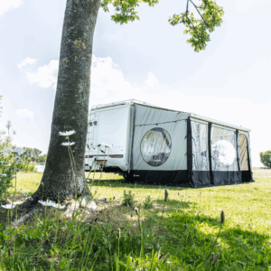 66563 1.f8e2f7e3.png