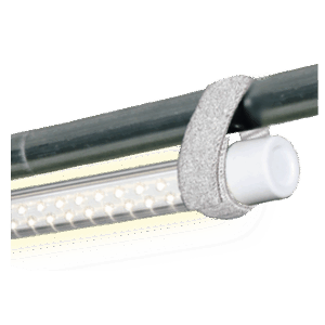 85531 1.2d337252.png