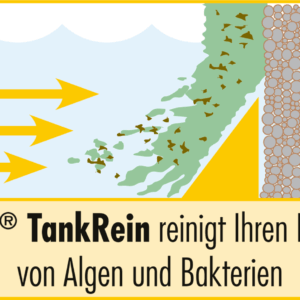 9000819 1.3302083f.png