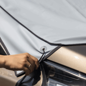 9001776 1.a3e6aa64.png