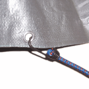 91768 3.e3e0c710.png