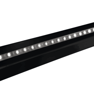 95481 1.ebbc029e.png