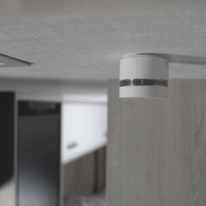 98036 1.619444b5.png